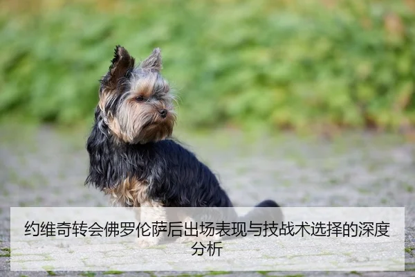 约维奇转会佛罗伦萨后出场表现与技战术选择的深度分析